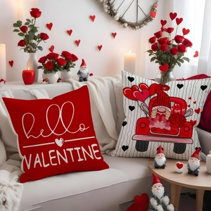 Detail of Valentine's day pillow covers featuring heart car and gnome print