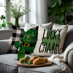 Detail of St. Patrick's Day pillow covers with Lucky Charm and Pinch Me prints on sofa