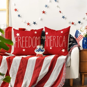 Detailed macro view of Independence Day pillows with FREEDOM and AMERICA letter printing