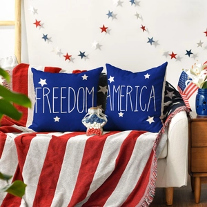 Detailed view of linen Independence Day pillows with Freedom and America text on a sofa