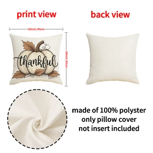 Detail of 18x18 inch polyester Thanksgiving pillowcase with pumpkin and thankful text