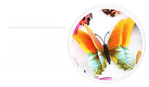 Detailed macro view of 3D PVC butterfly wall sticker showing vivid wing texture and colors