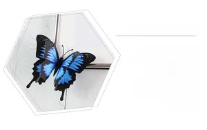 Detailed view of 3D double-layer blue butterfly wall stickers with realistic wings