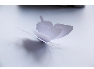 Detail of 3D double-layer white butterfly wall stickers with realistic wings for home decor