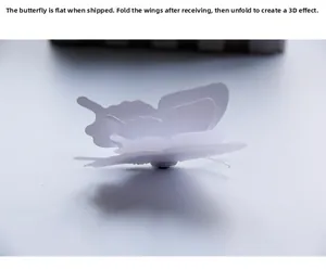 Detail showing the double-layer wings fold to create a 3D effect on white butterflies