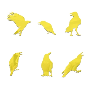 Set of 6 yellow mirror acrylic crow wall stickers showing various flying and standing poses