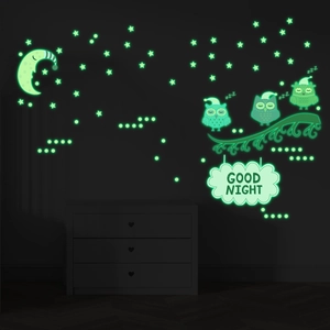 Luminous wall stickers set showing glowing owls, moon and stars in dark room decor