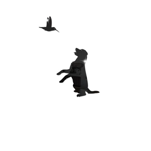 Detail of mirrored acrylic dog and hummingbird wall stickers showing clear room reflection