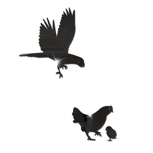 Close-up of eagle and chicken mirror wall stickers with reflective acrylic surface
