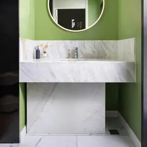 Detail of marble vanity top with square inset sink and decorative dog wall sticker