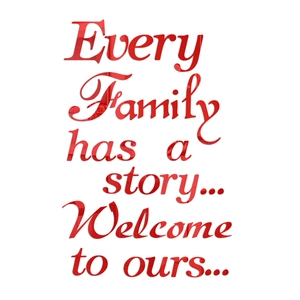 Detail of red acrylic 3D mirror wall decal featuring the quote Every Family has a story
