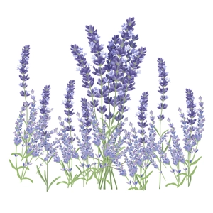 Self-adhesive lavender flower wall decal for toilet lid and bathroom decoration