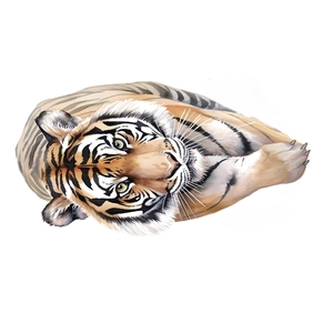 Sticker mural tigre aquarelle artistique avec détails réalistes pour décoration intérieure