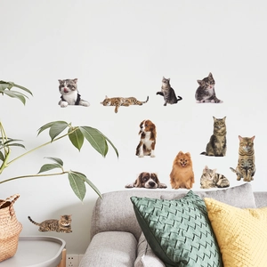 Realistic cat and dog PVC wall stickers set for living room sofa background decoration