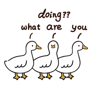 Wandsticker-Set mit drei niedlichen Enten und lustigem Spruch für das Badezimmer