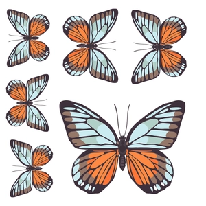 Set of 6 blue and orange glow butterfly wall stickers in different sizes and shapes