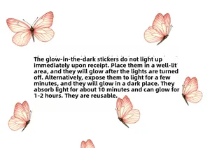 Instructions détaillées pour autocollants papillons fluorescents et guide d'absorption