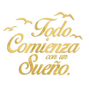 Close-up of golden acrylic mirror wall stickers with Spanish text and bird silhouettes
