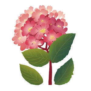 Sticker mural autocollant hortensia rose pour décoration élégante de salon et chambre