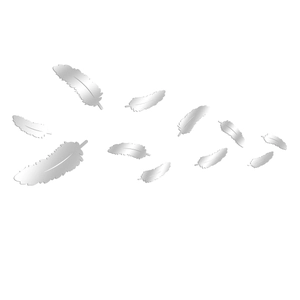 Detail of 3D silver acrylic feather mirror wall stickers showing reflective surface finish