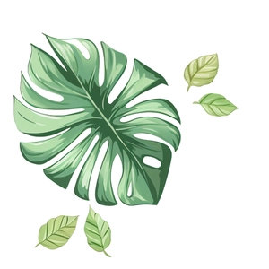 Stickers muraux créatifs de feuilles de Monstera tropicales pour salon et chambre
