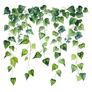 Realistic green vine wall stickers with heart-shaped leaves for home and living room decoration