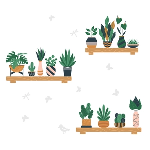 Potted green plants wall stickers with minimalist wooden shelves for home decoration