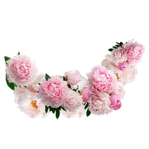 Elegant pink and white peony flower wall stickers in a semi-circular arc for home decor