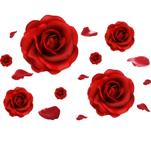 Romantic set of realistic red silk rose heads and loose petals for wall decoration