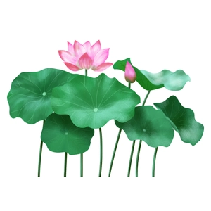 Elegant pink lotus wall decal with green leaves for home bedroom wall decoration