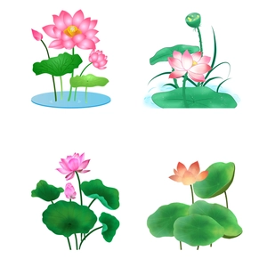 Minimalist lotus flower wall decals with blooming pink petals and green lotus leaves