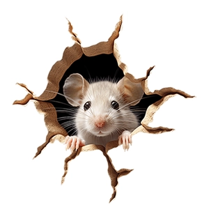 3D realistic white mouse wall sticker peeking from a broken hole for home decoration