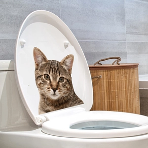Detailed view of a 3D realistic tabby cat head sticker applied to a white toilet lid surface