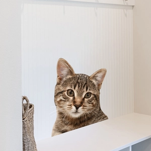 Close-up of a 3D tabby cat wall sticker peeking from a white striped surface