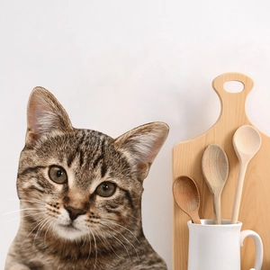 Close-up of cute tabby cat wall sticker with wooden kitchenware and white ceramic mug