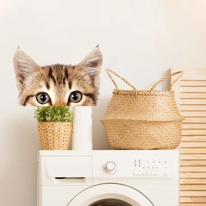 Detail of 3D lifelike tabby cat wall sticker peering from behind furniture