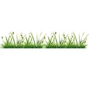Minimalist green grass wall sticker border featuring fresh garden seedlings and flower buds
