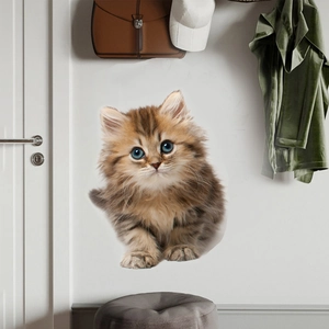 Detailed 3D visual wall sticker of a cute fluffy tabby kitten with bright blue eyes