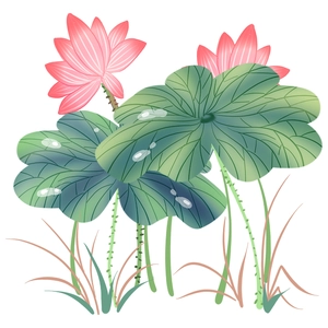 Pink lotus flower and green lily pads wall sticker set for home decoration