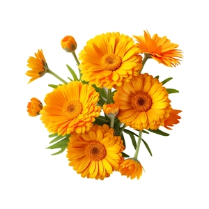 Vibrant yellow chrysanthemum flower wall decals for bathroom toilet seat decoration