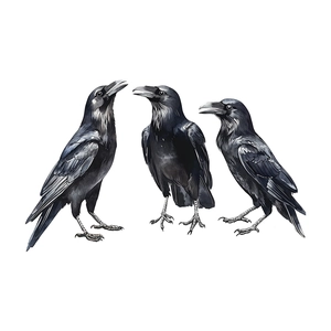 Halloween black crow wall stickers for living room and bedroom decoration set of 3