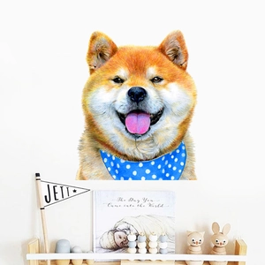 Detailed realistic Shiba Inu wall sticker with blue polka dot scarf on a white wall