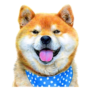 Detail of hand-painted Shiba Inu wall sticker with a blue polka dot scarf decoration