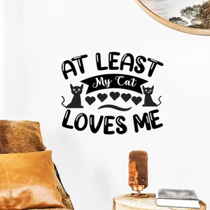 Detail of At Least My Cat Loves Me wall decal with black cat silhouette above a cozy sofa