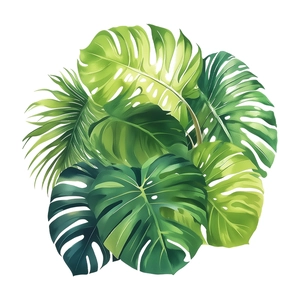 Tropical monstera and palm leaves wall stickers with natural green gradient on white background
