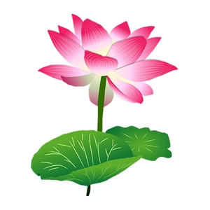 Luminous lotus and lily pad wall sticker for light switch decor with glow effect