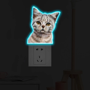 Luminous gray tabby cat wall night light with blue neon frame in home bedroom setting