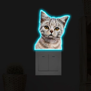 Luminous gray tabby cat wall sticker with blue neon glow above a white light switch