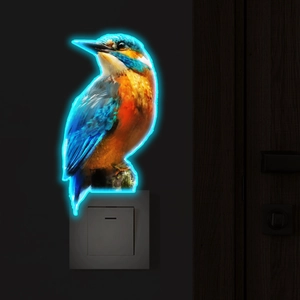 Luminous kingbird wall sticker with blue and orange feathers glowing above light switch