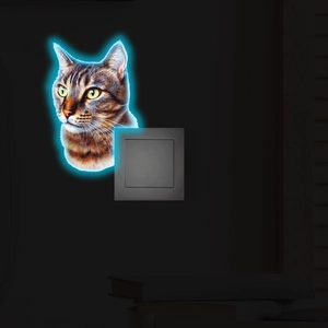 Glow-in-the-dark cat head wall sticker around a light switch showing blue fluorescent effect